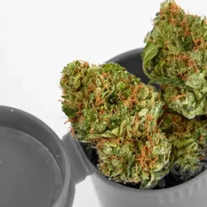 AK 47 Weed Strain