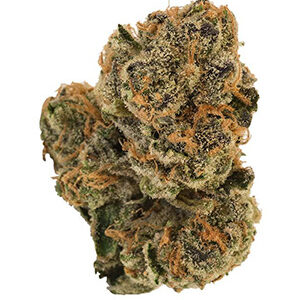 Marijuana